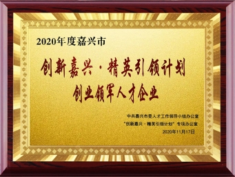 創業領軍人才企業